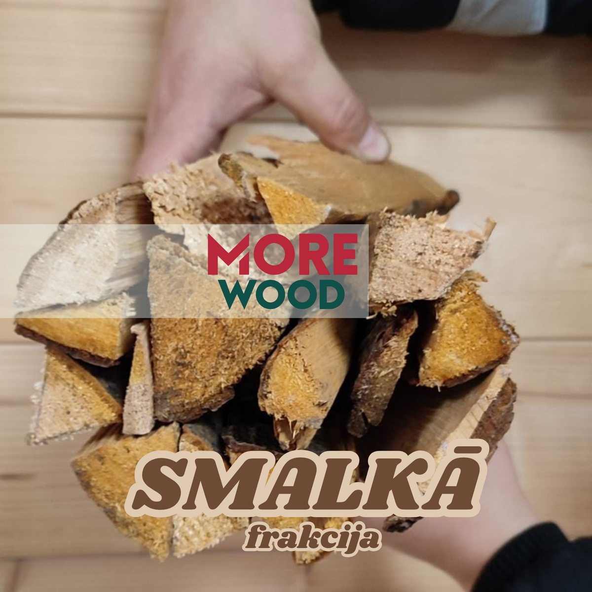Smalkās frakcijas pagales rokās